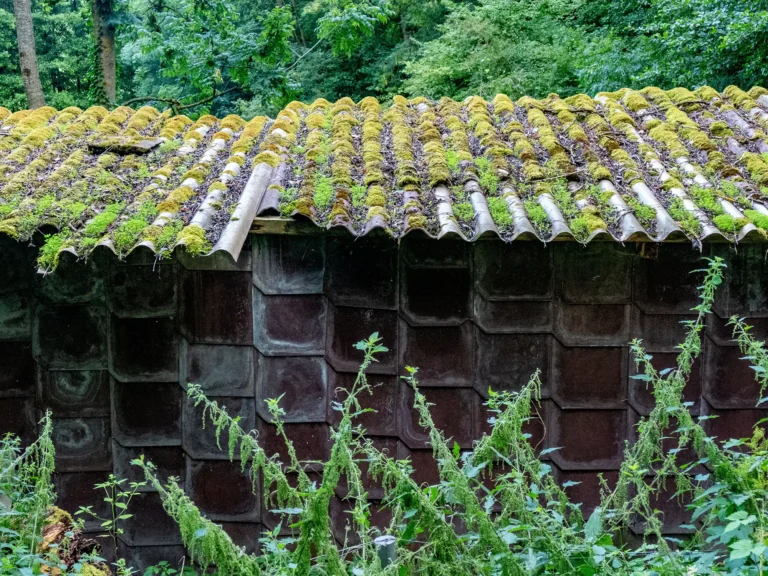 Decrepit garden shed to clear