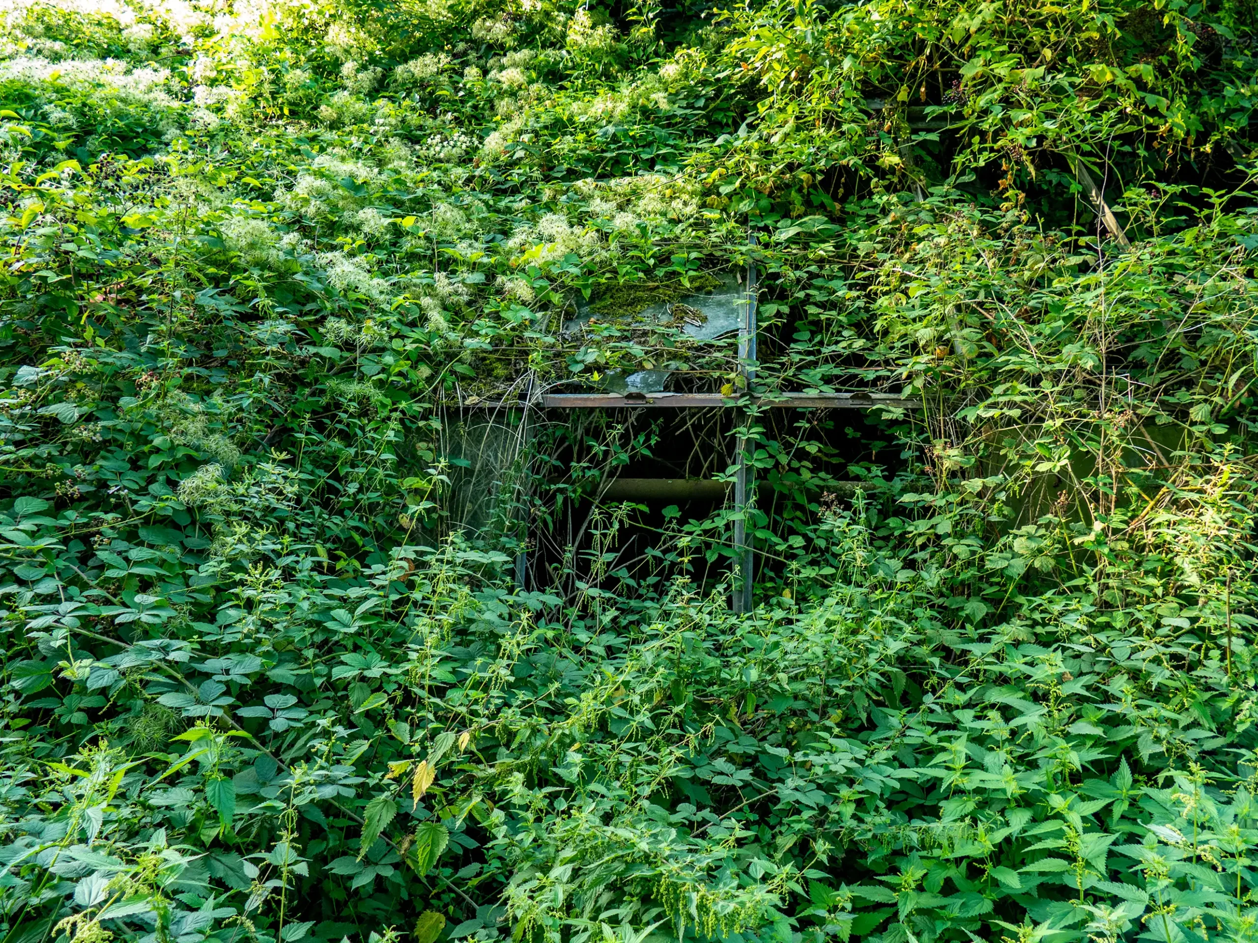 Garden Clearance in Oxfordshire plus shed clearances