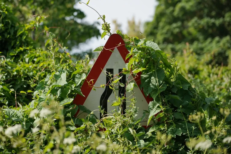 Garden Clearance service all locations