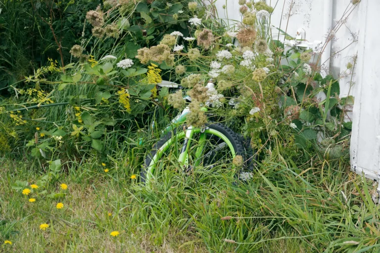 Eco Waste garden clearance and removal