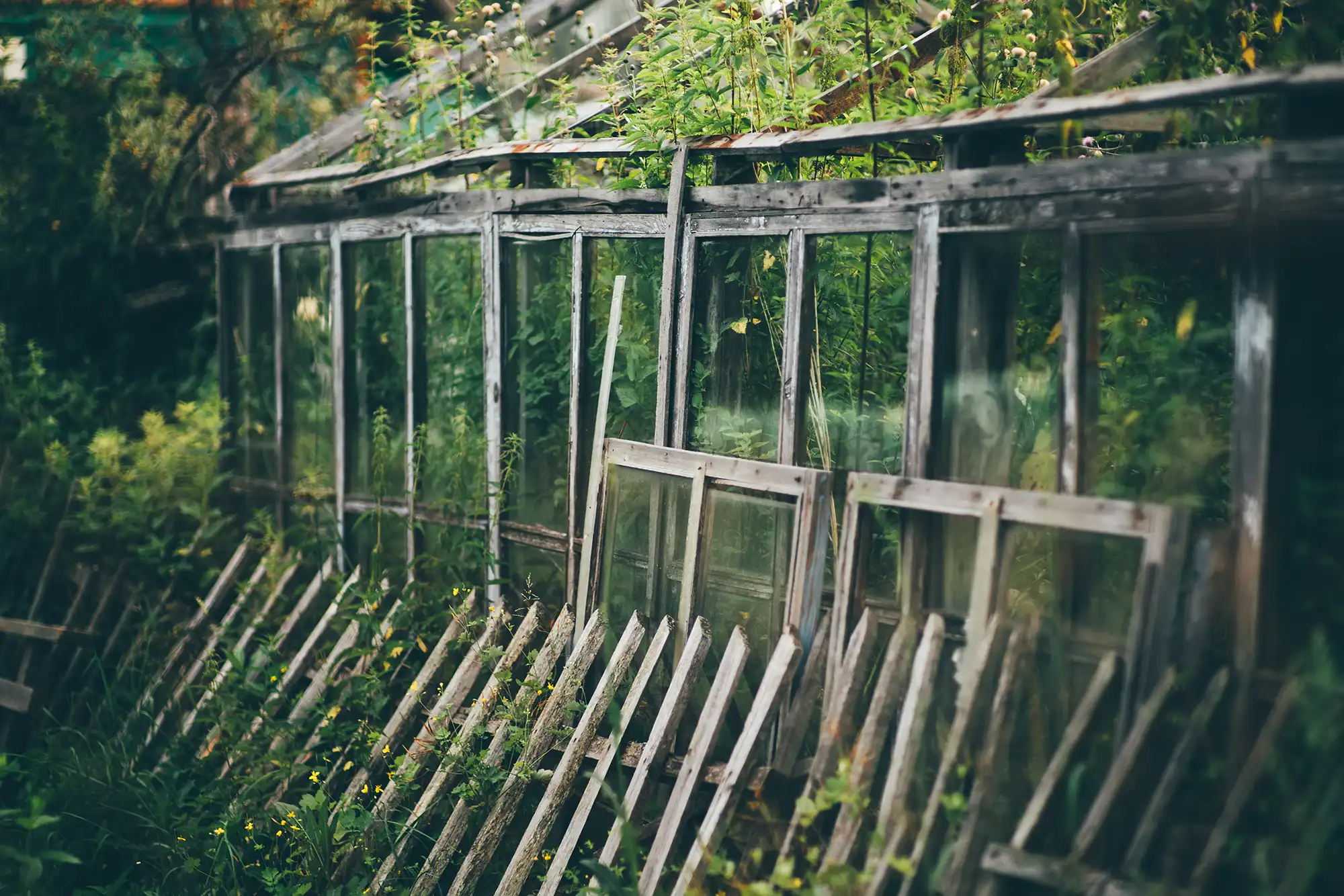 Clearaing old sheds, greenhouses and other outbuildings in Oxfordshire
